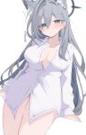  1girl absurdres animal_ear_fluff animal_ears blue_archive breasts cross_hair_ornament extra_ears grey_hair hair_ornament halo highres long_hair long_sleeves looking_at_viewer mismatched_pupils nui_(nuinui0300) shiroko_terror_(blue_archive) shirt simple_background solo white_background white_shirt wolf_ears 