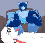 absurd_res aimpunch azura_(aimpunch) balls blue_body blue_fur blue_hair blue_pawpads choker choker_only claws digit_ring duo ear_piercing ear_ring eye_roll facial_markings facial_piercing feet floppy_ears foot_lick fur genitals hair half-closed_eyes half-erect head_markings hi_res humanoid_feet humanoid_genitalia humanoid_penis industrial_piercing jewelry lagomorph leporid licking lip_piercing looking_pleasured male male/male mammal markings mask_(marking) narrowed_eyes necklace necklace_only nude pawpads paws penis piercing plantigrade procyonid rabbit raccoon ring ring_piercing smile smirk smug smug_face smug_grin snakebite_piercing stud_piercing toe_claws toe_ring toes tongue tongue_out vein veiny_penis white_body white_fur white_hair