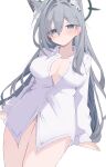  1girl absurdres animal_ear_fluff animal_ears blue_archive breasts cross_hair_ornament extra_ears grey_hair hair_ornament halo highres long_hair long_sleeves looking_at_viewer mismatched_pupils nui_(nuinui0300) shiroko_terror_(blue_archive) shirt simple_background solo white_background white_shirt wolf_ears 