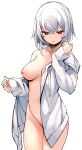  1girl bangs breasts highres jacket naked_jacket navel nipples open_clothes open_jacket original otokuyou parted_lips red_eyes short_hair simple_background solo white_background white_hair 