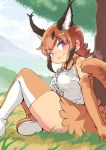  1girl absurdres animal_ears banubeefriends bare_shoulders black_hair blue_sky bow bowtie breasts caracal_(kemono_friends) caracal_ears caracal_tail center_frills closed_mouth cloud day elbow_gloves extra_ears eyebrows_visible_through_hair frills gloves grass highres kemono_friends medium_breasts miniskirt multicolored multicolored_clothes multicolored_hair multicolored_legwear orange_bow orange_footwear orange_gloves orange_hair orange_neckwear orange_skirt outdoors purple_eyes shirt short_hair sitting skirt sky sleeveless sleeveless_shirt smile solo tail tail_raised thighhighs thighs tree two-tone_hair white_shirt 