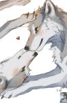  2020 ambiguous_gender canid canine canis digital_media_(artwork) duo flashw fur mammal paws smile white_body white_fur wolf 