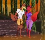  anthro canid canine capcom duo duo_focus female fox group love male male/female mammal marcex mega_man_(character) mega_man_(series) ninjara_(tmnt) park park_bench romantic romantic_ambiance romantic_couple sunset video_games walking 