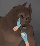  anthro biped bodily_fluids brown_body brown_fur canid canine canis clothing disembodied_hand drool_string drooling fur gloves goosebumps_(movie) hand_in_mouth handwear hi_res male mammal mawplay open_mouth saliva saliva_drip saliva_string sepulte solo teeth were werecanid werecanine werewolf wolf 