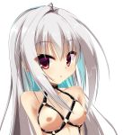  1girl :o ahoge bdsm bondage bound breasts collarbone commentary_request dracu-riot! elena_olegovna_owen eyebrows_visible_through_hair harness highres long_hair looking_at_viewer nipples red_eyes silver_hair small_breasts solo tachibana_akane_(akane780u) white_background yuzu-soft 