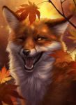  2020 amber_eyes ambiguous_gender black_nose canid canine day detailed_background digital_media_(artwork) feral fox fur headshot_portrait hi_res mammal open_mouth orange_body orange_fur outside portrait solo teeth tongue whiskers wolnir 