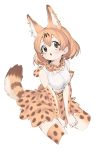  1girl :o animal_ear_fluff animal_ears bare_shoulders between_legs blonde_hair bow bowtie commentary_request elbow_gloves extra_ears eyebrows_visible_through_hair gloves hand_between_legs highres kemono_friends kona_ming print_gloves print_legwear print_neckwear print_skirt serval_(kemono_friends) serval_ears serval_print serval_tail shirt short_hair sitting skirt sleeveless solo tail thighhighs white_shirt yellow_eyes zettai_ryouiki 