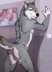  annairu anthro backsack balls butt canid canine canis genitals hi_res inside looking_at_viewer male mammal nude seda smile solo wall_(disambiguation) wolf 