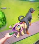  2020 ass_to_ass balls canid canine canis collar conditional_dnp cutie_mark detailed_background digital_media_(artwork) disembodied_hand domestic_dog duo_focus equid equine eyebrows female feral feral_female feral_on_feral fluttershy_(mlp) friendship_is_magic genitals grass group hasbro hi_res human interspecies knotting leash male male/female mammal my_little_pony open_mouth outside pegasus sex smile sugarlesspaints text tongue tongue_out url wings 