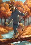  2020 5_fingers anthro autumn balancing bottomwear brown_body brown_fur canid canine canis clearing clothing creek crepuscular_rays detailed_background domestic_dog fingers forest fur german_shepherd herding_dog hi_res hoodie log male mammal multyashka-sweet pants pastoral_dog semi-anthro signature solo topwear tree tree_trunk walking water wood 