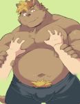  2020 anthro ayame42612 brown_body brown_fur bulge canid canine clothing fur green_background hi_res humanoid_hands kemono male mammal overweight overweight_male simple_background solo_focus underwear 