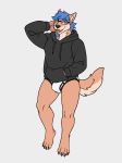  anthro black_clothing black_hoodie black_topwear blue_hair briefs canid canine canis clothing domestic_dog drawyourfursona hair hi_res hoodie male mammal meme meme_clothing sharkiedude solo standing topwear underwear white_clothing white_underwear 