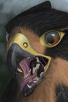  2:3 ambiguous_gender anthro avian beak bodily_fluids canid canine canis drool_string drooling duo feral gryphon gryphon_pred hi_res mammal mouth_shot mythological_avian mythology nemane saliva soft_vore teeth tongue vore wolf wolf_prey 