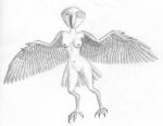 absurd_res animal_humanoid anthro avian avian_humanoid beak bird bird_feet bird_humanoid breasts claws ebrithilbowser eye_mouth feathered_arms feathered_wings feathers female hi_res humanoid monochrome mouth_eye navel nipples nude simple_background solo tail_feathers teeth white_background wide_hips winged_arms wings 