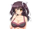  1girl aomi_riru black_bra black_hair blush bra breasts cleavage closed_mouth collarbone frilled_bra frills game_asset hair_between_eyes hair_ribbon kogure_miori large_breasts large_variant_set long_hair non-web_source official_art one_eye_closed ribbon self-datamine sidelocks simple_background smile solo standing tachi-e transparent_background two_side_up underwear underwear_only upper_body variant_set white_ribbon yellow_eyes yumemi_ga_cheek! 