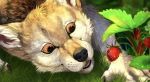  2020 araivis-edelveys black_nose brown_eyes canid canine day detailed_background digital_media_(artwork) food fruit grass mammal open_mouth outside plant strawberry teeth tongue 