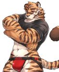  abs anthro black_clothing black_shirt black_topwear clothed clothing felid fur hi_res jockstrap kamyuelo looking_down male mammal muscular muscular_anthro muscular_male navel pantherine red_clothing red_eyes red_underwear shirt simple_background solo striped_body striped_fur stripes tiger topwear underwear undressing white_background 