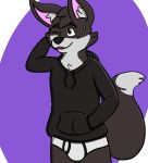  anthro axelfurry795 black_clothing black_hoodie black_topwear briefs canid canine clothing drawyourfursona fox hoodie male mammal meme meme_clothing solo standing topwear underwear white_clothing white_underwear 