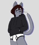  anthro black_clothing black_hoodie black_topwear briefs bulge clothing domestic_cat drawyourfursona felid feline felis hi_res himacat hoodie male mammal meme meme_clothing solo standing topwear underwear white_clothing white_underwear 