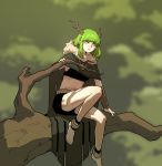  1girl absurdres antlers barefoot black_bra black_shorts bra branch bright_pupils cape druid_(gogalking) gogalking green_cape green_eyes green_hair highres jewelry looking_at_viewer medium_hair navel necklace original shorts sitting_on_branch solo underwear vambraces white_pupils 