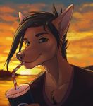  anthro black_hair canid canine clothed clothing day detailed_background digital_media_(artwork) hair headshot_portrait male mammal outside portrait sky smile solo taurusart 