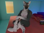  4:3 anthro bedroom blue_eyes breasts camera canid canine canis cypherhyena exposed_breasts female genitals mammal pussy solo voyeur webcam wolf 