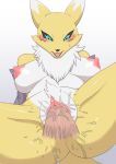  anthro blush bodily_fluids breasts canid canine digimon digimon_(species) erection female fur genital_fluids genitals hi_res male male/female male_penetrating mammal nipples nude penetration pussy renamon sex tarian white_body white_fur yellow_body yellow_fur 
