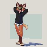  anthro black_clothing black_hoodie black_topwear briefs bulge canid canine clothing drawyourfursona hoodie male mammal maned_wolf meme meme_clothing notafox solo standing topwear underwear white_clothing white_underwear 