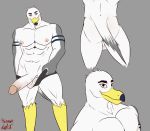  absurd_res anthro avian ayden_(brogulls) balls big_penis bird butt clothing erection genitals gull hermesdidit hi_res holding_object holding_underwear lari larid male muscular muscular_anthro muscular_male nipples pecs penis solo underwear 