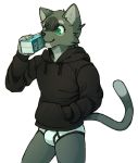  anthro black_clothing black_hoodie black_topwear briefs bulge clothing domestic_cat drawyourfursona felid feline felis hoodie lemonzealot male mammal meme meme_clothing solo standing topwear underwear white_clothing white_underwear 