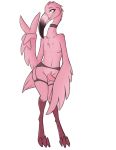  anthro avian bird clothing evilymasterful flamingo genitals male penis solo 