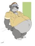  2020 absurd_res anthro arm_support baloo belly big_belly bottomless canson claws clothed clothing disney fur grey_body grey_fur hat headgear headwear hi_res male mammal navel overweight overweight_anthro overweight_male pilot plantigrade shirt simple_background solo straining_buttons talespin topwear ursid 