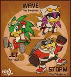  accipitrid accipitriform aircraft airplane albatross anthro avian bird bottomwear child clothing english_text female group jet male nostalgicrogue procellariiform shorts sonic_the_hedgehog_(series) storm swallow_(disambiguation) text wave young 