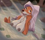  2020 anthro blurred_background breasts canid canine chest_tuft clothed clothing dark_nipples digital_media_(artwork) disney female flower forest fox fur hand_on_cheek headdress headdress_only headgear headgear_only hi_res hyenatig_(artist) light_ray lily_pad looking_at_viewer maid_marian mammal mostly_nude multicolored_body multicolored_fur nipples nude open_mouth partially_clothed partially_submerged plant red_body red_fur robin_hood_(disney) solo teeth tongue tree tuft two_tone_body two_tone_fur water wet wet_clothing white_body white_fur 