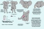  2017 3:2 anthro balls elephant elephantid english_text genitals male mammal model_sheet penis prehensile_penis proboscidean ragdoll_(study_partners) study_partners text thunderouserections 