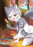  1girl animal_ears autumn_leaves blue_eyes blush chestnut commentary_request dog_(mixed_breed)_(kemono_friends) dog_ears dog_girl dog_tail elbow_gloves eyebrows_visible_through_hair fang fur_trim gloves grey_hair grey_jacket grey_legwear grey_skirt harness heterochromia highres jacket kamuraaa_615 kemono_friends kneeling leaf looking_at_viewer multicolored multicolored_clothes multicolored_hair multicolored_legwear open_mouth pantyhose pleated_skirt short_hair skirt solo sweater tail two-tone_coat white_gloves white_hair white_jacket white_legwear white_sweater yellow_eyes 