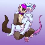  1:1 anthro arms_around_neck astro_(astro_ferret) blush clothing collar crossed_legs cuddling domestic_ferret duo hand_in_underwear hi_res highlights_(coloring) male male/male mammal mouse murid murine mustela mustelid musteline narrowed_eyes on_lap redfeatherstorm rodent sitting sitting_on_lap smile spread_legs spreading underwear 
