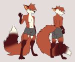  anonymous_artist anthro blue_eyes butt canid canine clothing dipstick_tail fox fur male mammal multicolored_tail orange_body orange_fur pawpads paws presenting presenting_hindquarters solo underwear white_body white_fur 