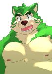  2020 anthro belly canid canine canis domestic_dog fur green_body green_fur hi_res kemono live-a-hero male mammal mokdai moobs nipples overweight overweight_anthro overweight_male simple_background solo video_games white_background yukikazefactory 