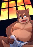  2020 anthro brown_body brown_fur bulge canid canine canis clothed clothing domestic_dog erection erection_under_clothing fur humanoid_hands inside kemono male mammal masturbation overweight overweight_anthro overweight_male sitting solo underwear yakiniku 