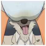 1:1 anthro bodily_fluids border canid canine canis clothed clothing diane_foxington diaper diaper_on_face dreamworks duo fangs female fox fur genital_fluids grey_body grey_fur hi_res male male/female mammal mr._wolf_(the_bad_guys) orange_body orange_fur peed radical_moderate shirt snout suit teeth the_bad_guys tongue tongue_out topwear true_fox unclean_diaper urine used_diaper watersports wearing_diaper wet wet_diaper white_border wolf
