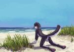 4_toes absurd_res all_fours anthro backsack balls beach black_eyebrows black_nose brown_body brown_fur brown_markings butt canid canine canis casual_nudity closed_smile countershade_balls countershade_butt countershade_face countershade_fur countershade_genitalia countershade_hands countershade_legs countershade_neck countershade_perineum countershade_snout countershade_tail countershade_torso countershading day digital_media_(artwork) digitigrade domestic_dog english_description eyebrows facial_markings feet floppy_ears full-length_portrait fur fur_markings genitals gloves_(marking) grass grey_body grey_ears grey_fur grey_hair grey_tail hair head_markings hi_res hindpaw horizon iris looking_at_viewer looking_back looking_back_at_viewer male male_anthro mammal markings monotone_hair mouth_closed multicolored_body multicolored_fur multicolored_tail nude nude_anthro nude_male outdoor_nudity outside pawpads paws perineum pinup plant portrait pose pupils purple_pawpads raised_tail sea seaside short_hair side_view sky slim slim_anthro slim_male smile smiling_at_viewer snout solo tail tasteful_nudity tazal three-quarter_view toes two_tone_tail water white_balls white_body white_countershading white_fur white_hands white_markings white_perineum white_sclera white_snout white_tail