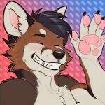 1:1 canid canine fox grin hi_res icon male mammal pebbles pg smile teeth themutt wave