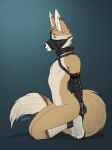 akasch anthro arched_back armbinder bdsm binder_(restraint) blue_background bondage bondage_gear bound brown_body brown_fur canid canine collar cuffed_ankles cuffed_wrists dipstick_tail featureless_chest fennec_fox fluffy fluffy_tail fox fur gradient_background hands_behind_back hi_res junkieboi kneeling leg_markings male male_anthro mammal markings muzzle_(object) muzzled nude_anthro nude_male restrained restrained_arms restraints side_view simple_background slim_anthro slim_male small_waist socks_(marking) solo submissive submissive_anthro submissive_male tail tail_markings tan_body tan_fur training true_fox