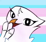 2_fingers ambiguous_gender avian beak bird black_eyes black_outline blue_background character_request close-up colored digital_drawing_(artwork) digital_media_(artwork) eyelashes feather_tuft feathers fingers front_view head_tuft headshot_portrait icon lgbt_pride looking_at_viewer martrane no_eyebrows nude nude_ambiguous open_mouth open_smile orange_beak outline owl pattern_background pink_background portrait pride_color_background pride_color_flag pride_colors red_insides red_tongue simple_background sketch smile smiling_at_viewer solo source_request tongue transgender_pride_colors tuft white_background white_body white_feathers white_sclera