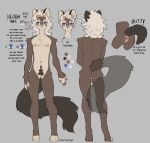 2026 andromorph anthro anus belly big_tail black_ears black_pubes black_tail blue_eyes brown_arms brown_body brown_fur brown_legs butt clitoral_hood clitoris english_text eyebrows eyewear front_view full-length_portrait fur genitals glasses hair hi_res intersex leo_campbell lgbt_pride male_(lore) mammal mastectomy_scar model_sheet multicolored_body multicolored_fur nerunaur nipples nude nude_andromorph pansexual_pride_colors pawpads paws portrait pride_colors procyonid pubes raccoon rear_view red_anus red_nipples red_pawpads red_vulva scar signature simple_background slim solo standing tail text trans_(lore) trans_man_(lore) transgender_pride_colors two_tone_body two_tone_fur vulva white_belly white_body white_eyebrows white_fur white_hair white_inner_ear white_paws
