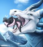 annoyed annoyed_prey bared_teeth black_body black_fur bodily_fluids detailed detailed_background detailed_scales dragon dripping drooling duo european_mythology extreme_size_difference female feral fur furred_dragon furred_scalie hi_res horn licking lupinera macro male male/female mawplay micro mountain mouth_shot mythological_creature mythological_scalie mythology on_tongue open_mouth outside painting_(artwork) predator/prey saliva saliva_drip saliva_on_tongue saliva_string scales scalie size_difference sky soft_vore teeth teeth_showing tongue tongue_out tongue_wrap vore western_dragon white_body