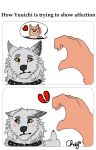 2026 annoyed anthro anthro_on_anthro artist_name before_and_after blush broken_heart brown_body brown_fur canid canine canis choky_(artist) claws collar colored cutaway domestic_dog duo ear_piercing ear_ring english_text finger_claws fingers fur gesture grey_body grey_fur hand_gesture haruki_koizumi headshot_portrait heart_symbol humanoid_hands humor interspecies looking_aside male male/male mammal middle_finger piercing portrait rejection ring_piercing shiba_inu simple_background smile spiked_collar spikes spitz tan_body tan_fur tennis_ace text white_background wolf yellow_eyes yuuichi_michimiya