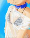 anthro beach bell bikini bikini_top canid canine clothing collar femboy fox hi_res kecuxa kemono male male_anthro mammal solo swimwear translucent translucent_clothing two-piece_swimsuit young_(lore)