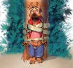 animal_genitalia anthro arms_tied balls belly_tattoo blush bottomwear bound canid canine clothing exposed eyebrows forgotten_island fully_sheathed genitals hi_res highlights_(coloring) humiliation jewelry male mammal necklace nude_anthro pawpads plant raised_eyebrows raww_(forgotten_island) sheath shocked shorts solo standing supechips tattoo topwear tree vest wide_eyed